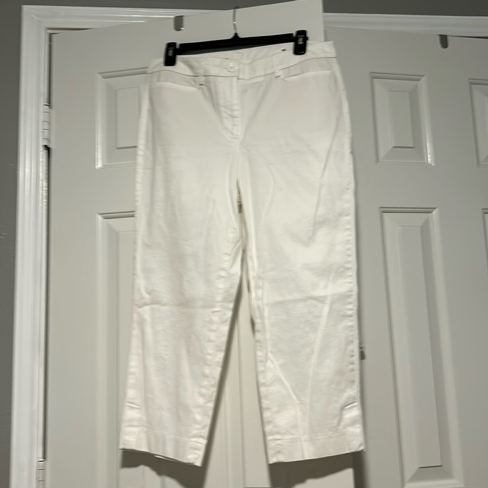 Talbots perfect skimmers euc